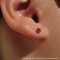 pierced .JPG